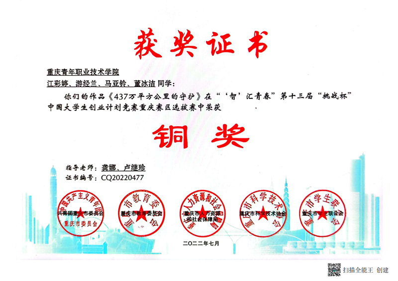 智汇青春第三届挑战杯中国大学生创业计划竞赛重庆赛区铜奖_00.png