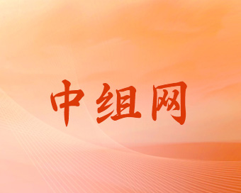 中组网