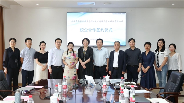 图片4 图片4