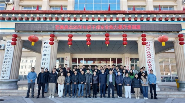 图片2 图片2