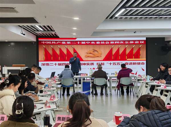 图片6