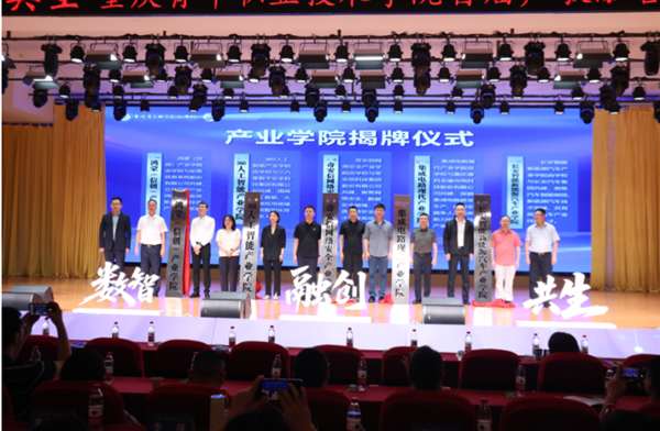 图片5