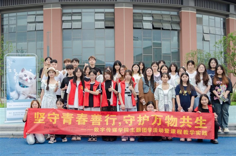 图片7 图片7