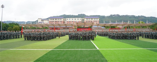图片12 图片12